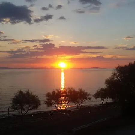 Eirini's * Azolimnos