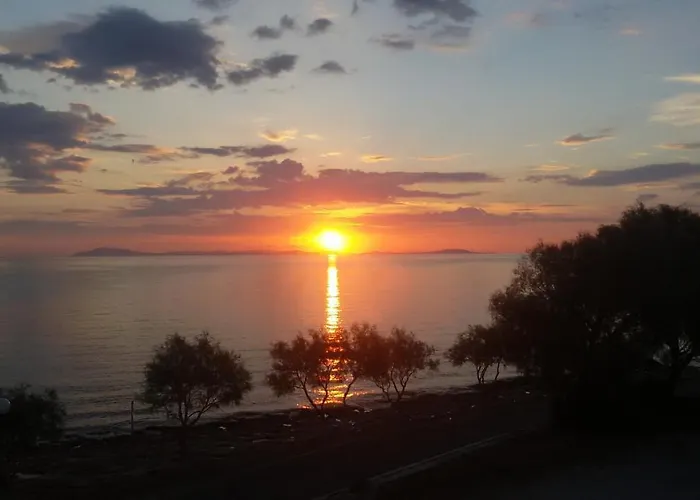 Eirini's * Azolimnos